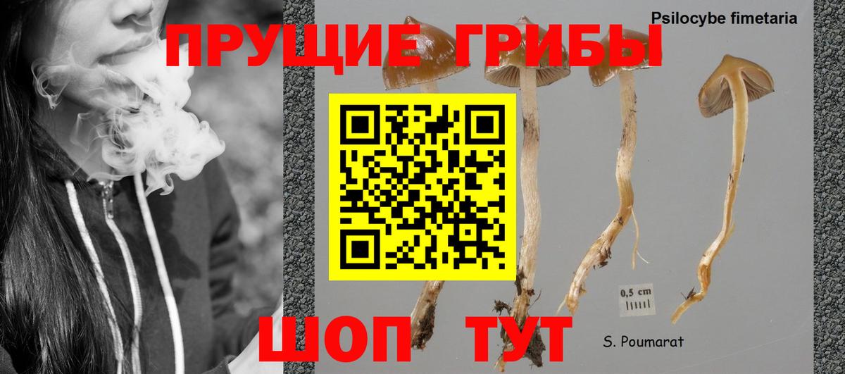 Галлюциногенные грибы GOLDEN TEACHER Красный Сулин