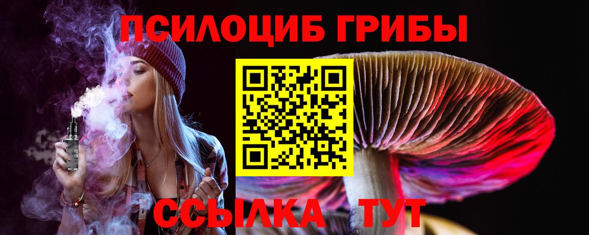 Красный Сулин  Псилоцибиновые грибы Psilocybe  Галлюциногенные грибы Cubensis  закладка  Вход с VPN 